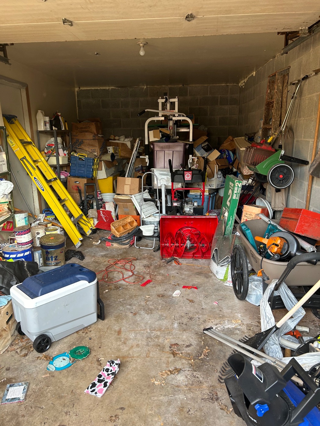 Garage cleanout