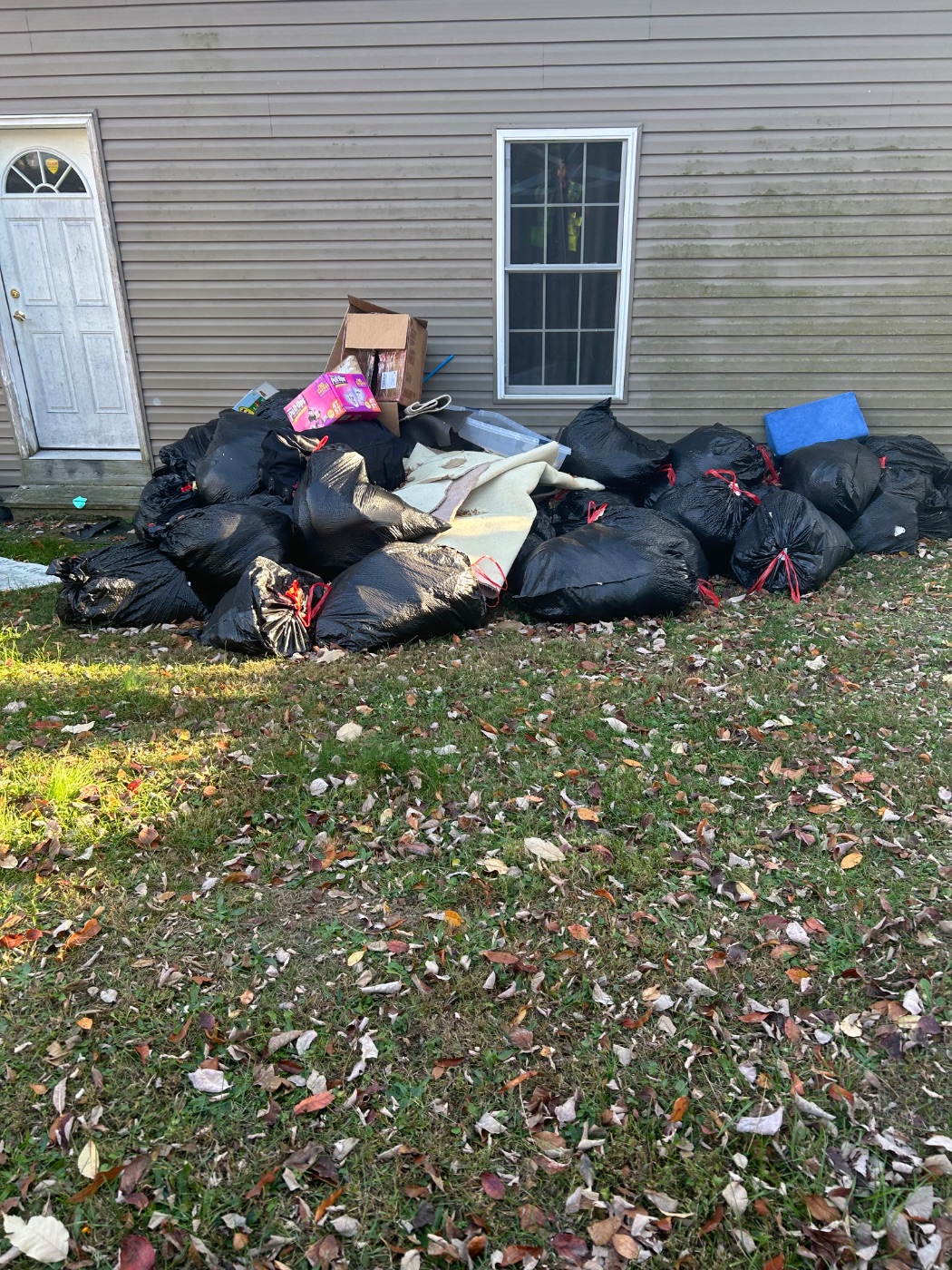 Yard debris cleanup in Enola