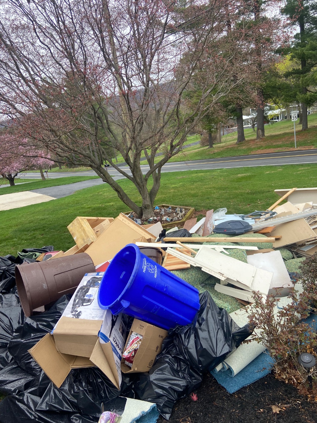 Before — junk-filled lawn