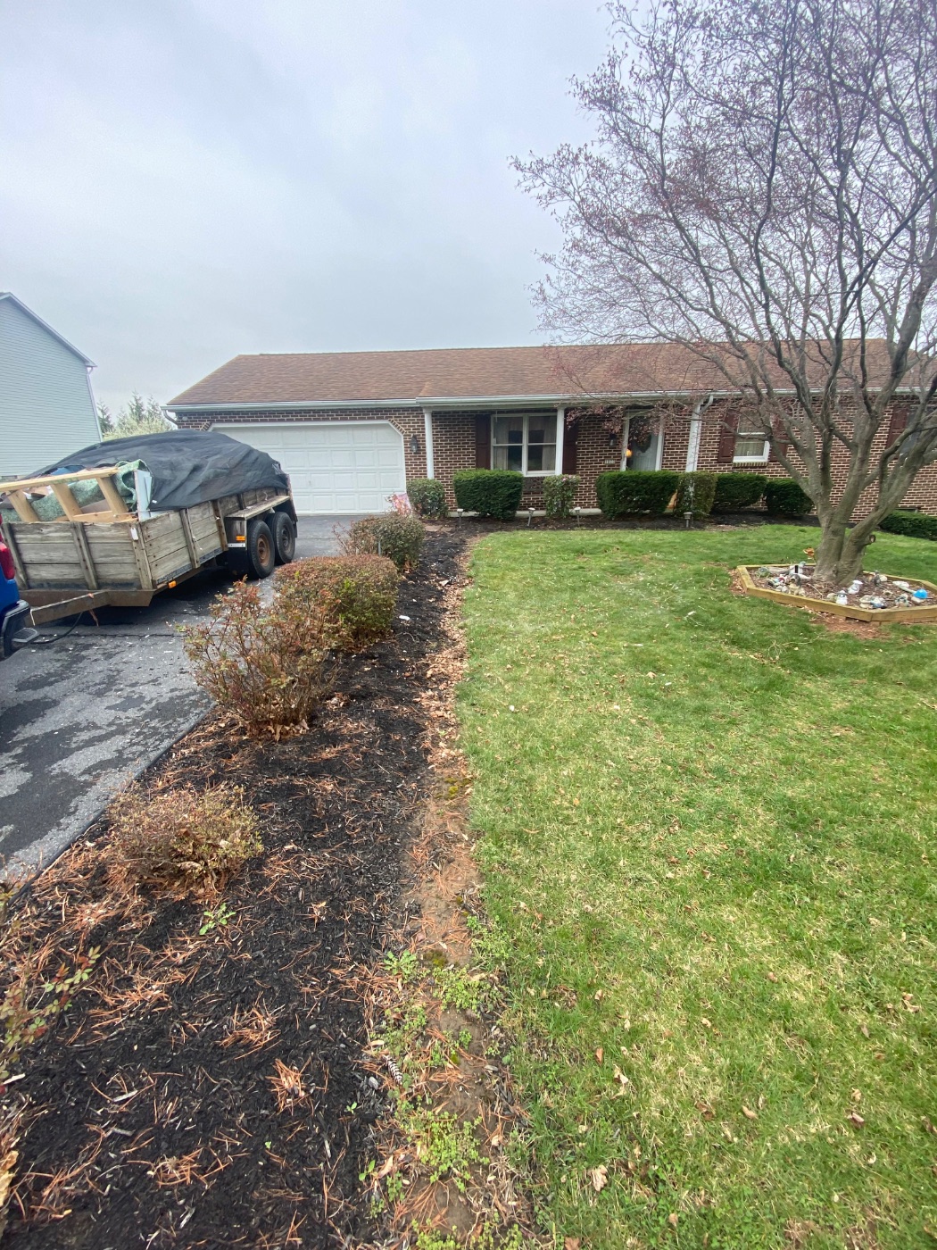 After — cleared lawn